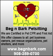 Advertise with Six-Figure Pet Sitting Academy Advertise Here