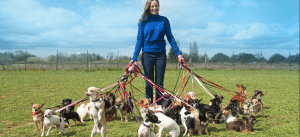 woman with many dogs