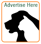 Advertise Here