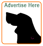 Advertise Here