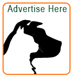 Advertise Here