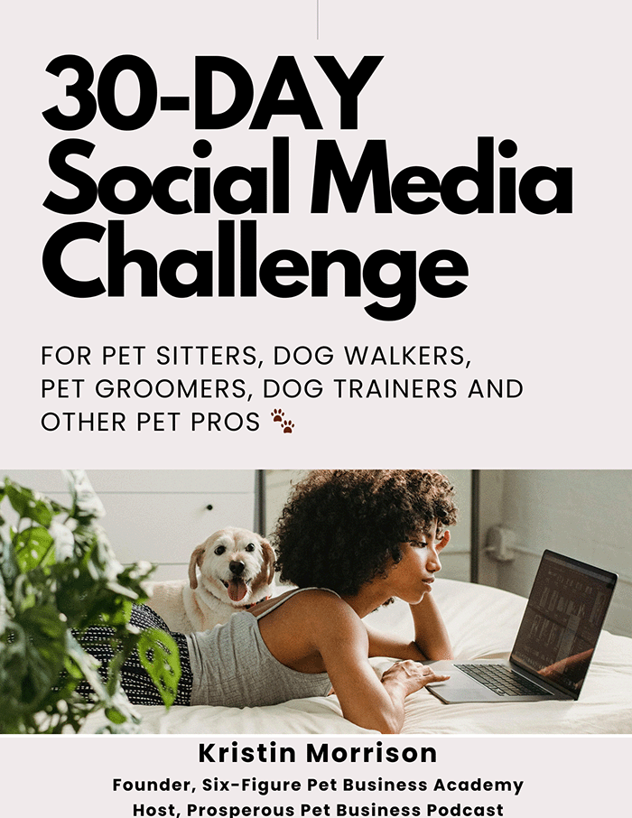 30-Day Social Media Challenge for Business Owners eBook + Workbook