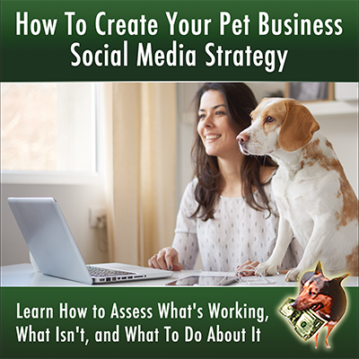 How to Create Your Pet Business Social Media Strategy for 2022
