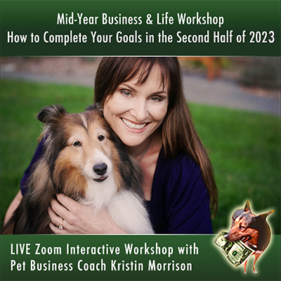 Mid-Year Goal Transformation Workshop: Nurture Your Goals, Dreams, and Desires to Completion in 2023